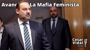 Avance de La Mafia Feminista - 11/10/24