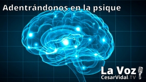 Adentrándonos en la psique: La neuropsicología de las emociones - 13/01/21