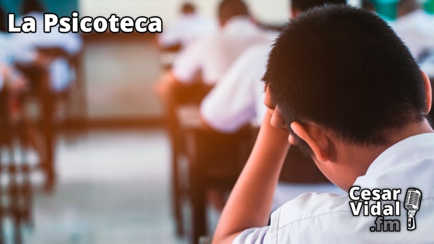 La Psicoteca: El precio de una educación en crisis - 17/10/24