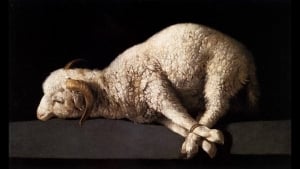 The Sacrifice Lamb