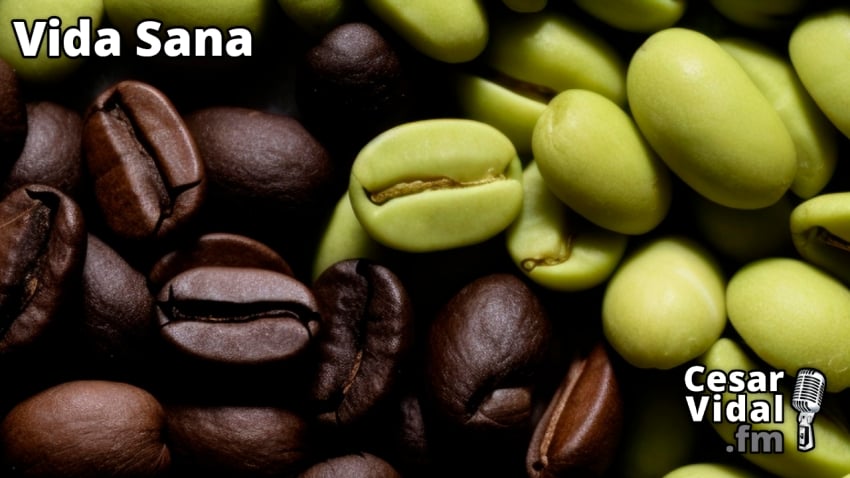 Vida Sana: Diferencias entre el café verde y el café negro - 20/03/24