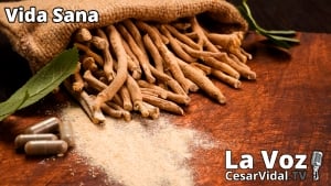 Vida Sana: Ashwagandha: el adaptógeno más destacable de la medicina ayurvédica - 23/06/21