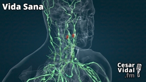 Vida Sana: ¿Cómo limpiar el sistema linfático de manera natural? - 01/02/23