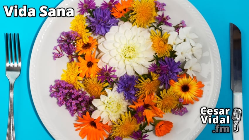 Vida Sana: Flores comestibles - 05/10/22