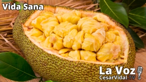 Vida Sana: Los secretos del Jackfruit - 08/12/21