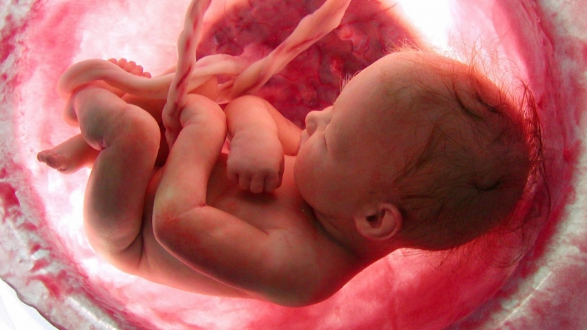 Editorial: La legislación abortista es reversible - 31/05/19