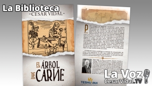 La Biblioteca: &#039;El árbol de carne&#039; - 15/07/21