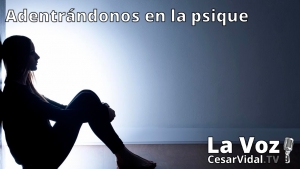 Adentrándonos en la psique: La ansiedad, tipos e intervención - 11/11/20