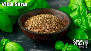 Vida Sana: La Albahaca, condimento medicinal - 28/09/22