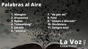 Palabras al aire - 04/07/22