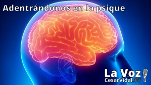 Adentrándonos en la psique: La neuropsicología de las emociones (3) - 27/01/21