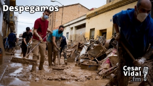 Despegamos: Escudo social, epidemia letal, elecciones en EEUU, freno OPEP y granjeros bajo tierra - 05/11/24