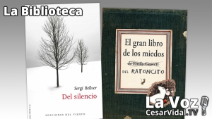 La Biblioteca: &#039;Del silencio&#039; y &#039;El gran libro de los miedos&#039; - 20/01/22