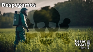 Despegamos: Golpe trashumanista de Microsoft, veneno Bayer–Monsanto y desplome europeo 2024 - 21/11/23