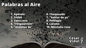 Palabras al aire - 04/11/24