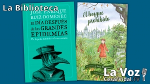 La Biblioteca: &quot;El día después de las grandes epidemias&quot; y &quot;Los misterios de Stella Montgomery&quot; - 22/10/20