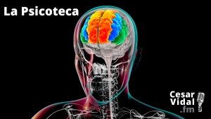 La Psicoteca: Entrena tu prefrontal (2ª parte) - 14/12/22