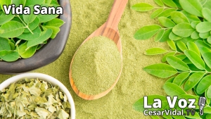 Vida Sana: La Moringa: El superalimento de moda - 17/11/21