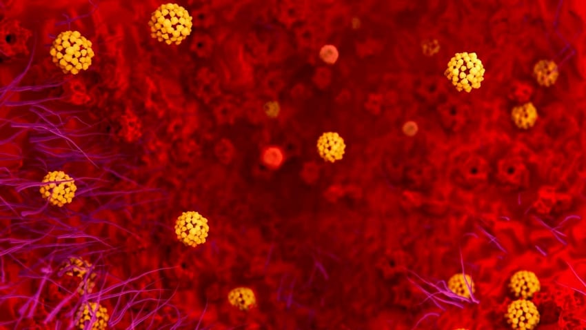 Despegamos: La histeria del coronavirus permite a Bruselas sacar la chequera - 24/02/20